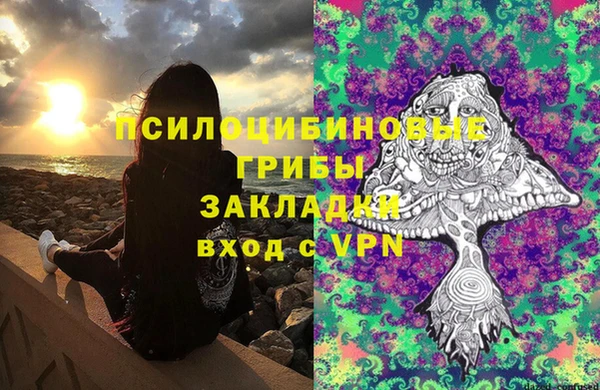 MDMA Premium VHQ Бронницы