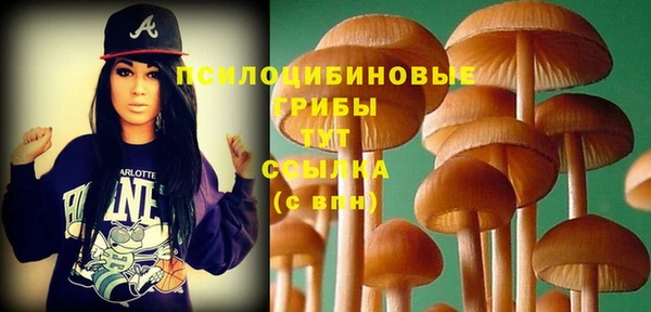 jwh Бородино